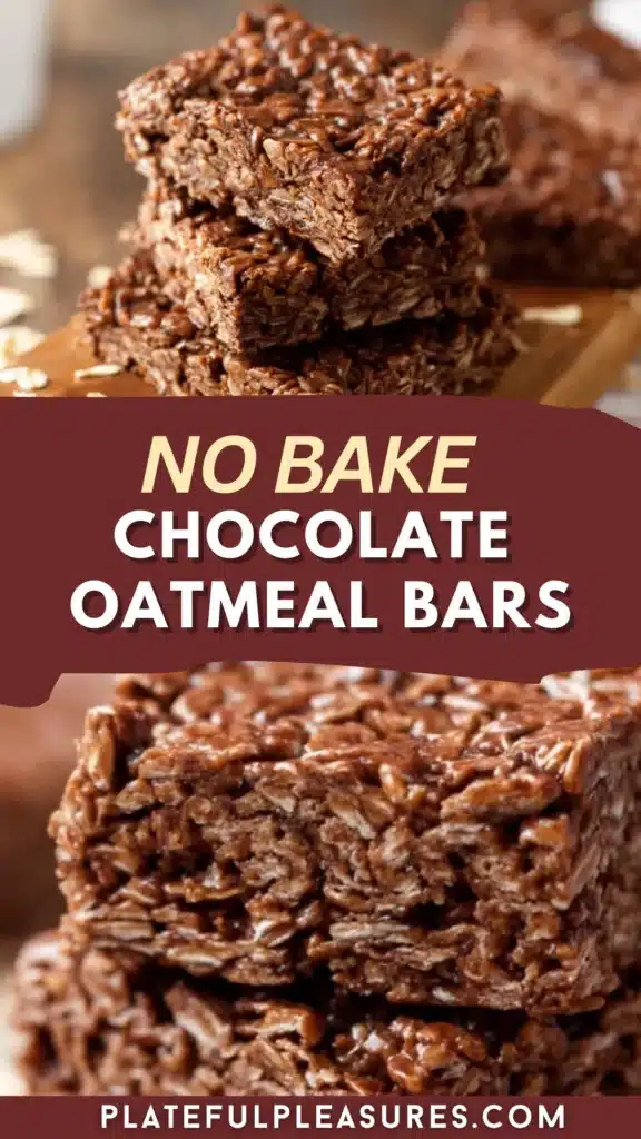 No Bake Chocolate Oatmeal Bars 11 7 5
